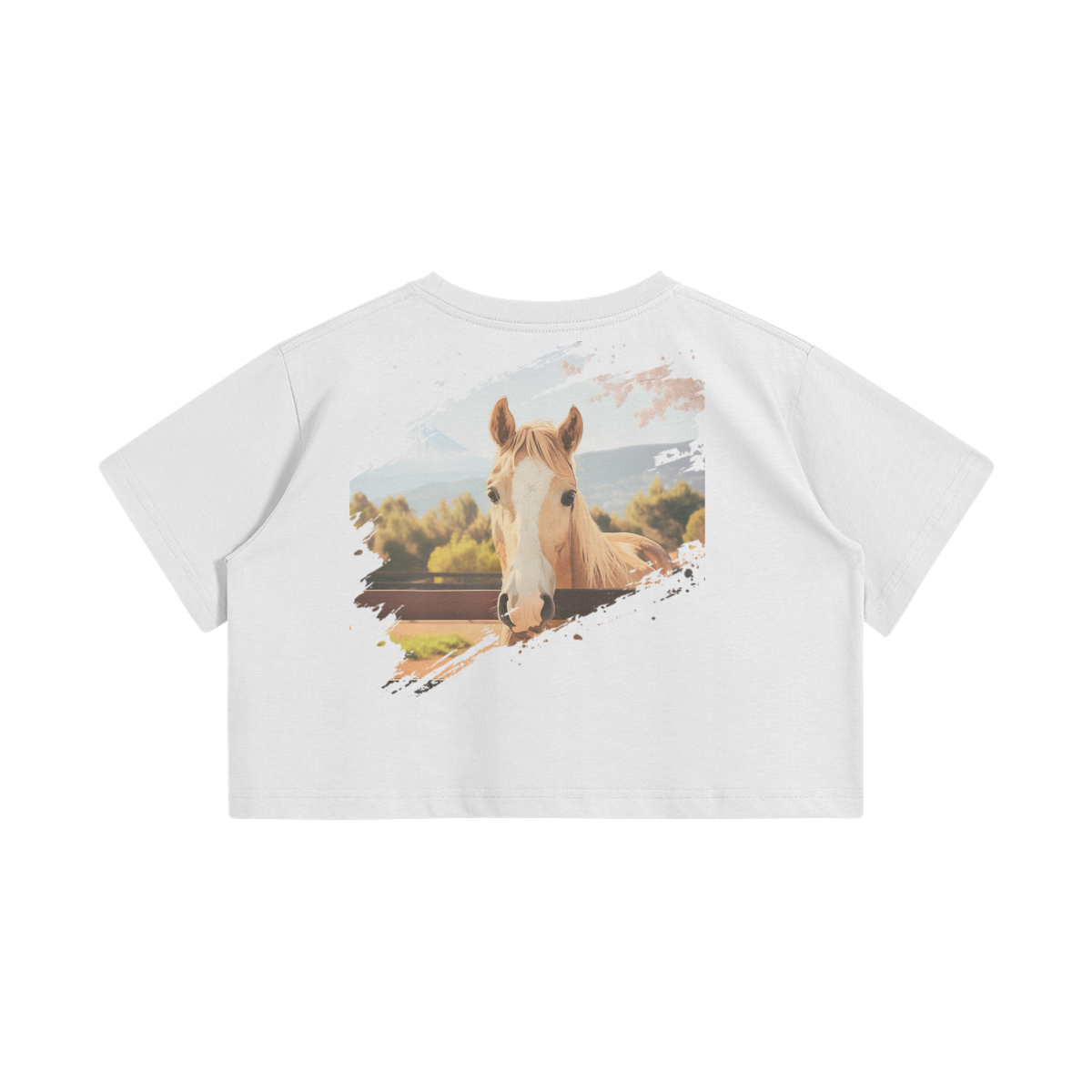 0-Y74-Back Side